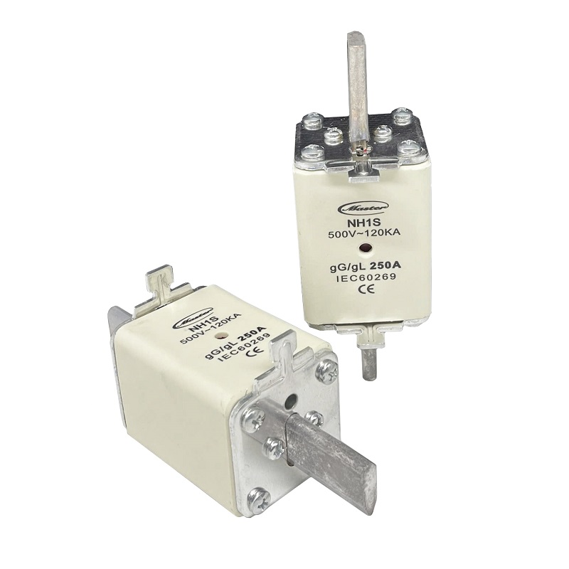 Cầu chì dòng cắt ngắn mạch cao 160A, NH00S-160A-MT Master